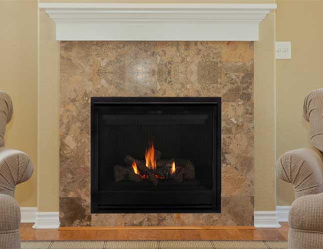 Aries Direct Vent Gas Fireplace by Astria