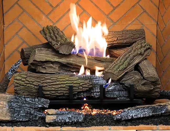 Magni-Flame Series Burner w/ Shady Hollow Concrete Logs by Astria
