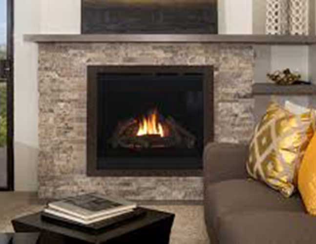 Gemini Direct Vent Fireplace by Astria